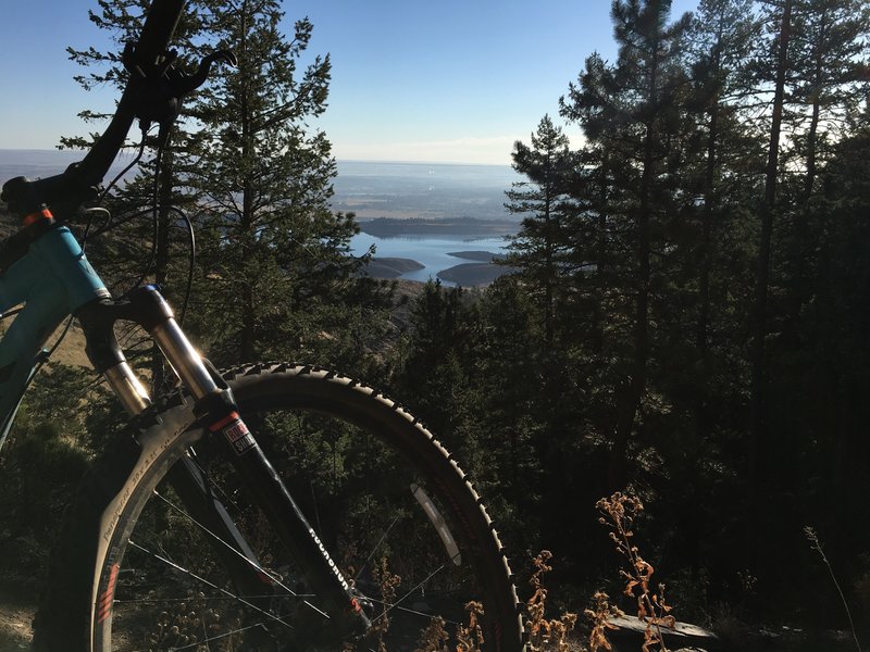 Timber Trail trail